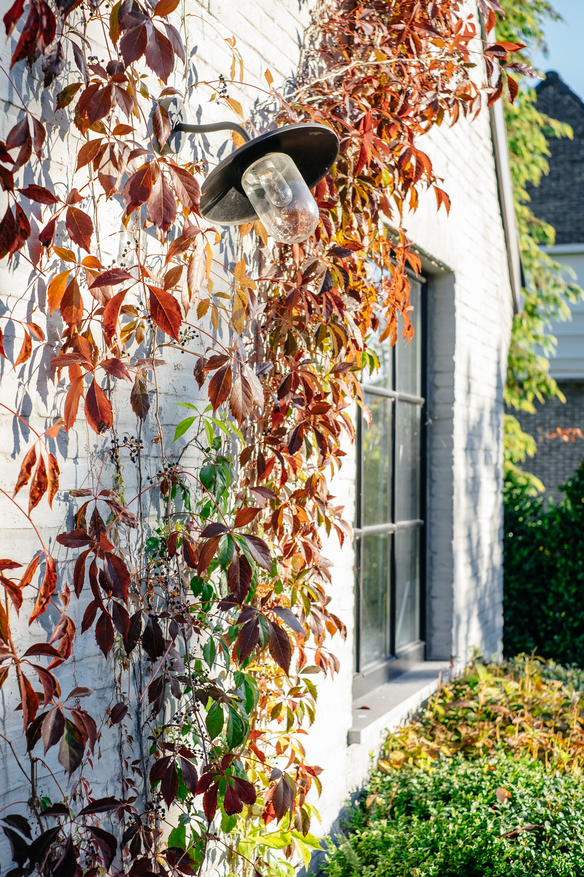 Verticale archieffoto van een gerealiseerde tuin door Fine Gardens